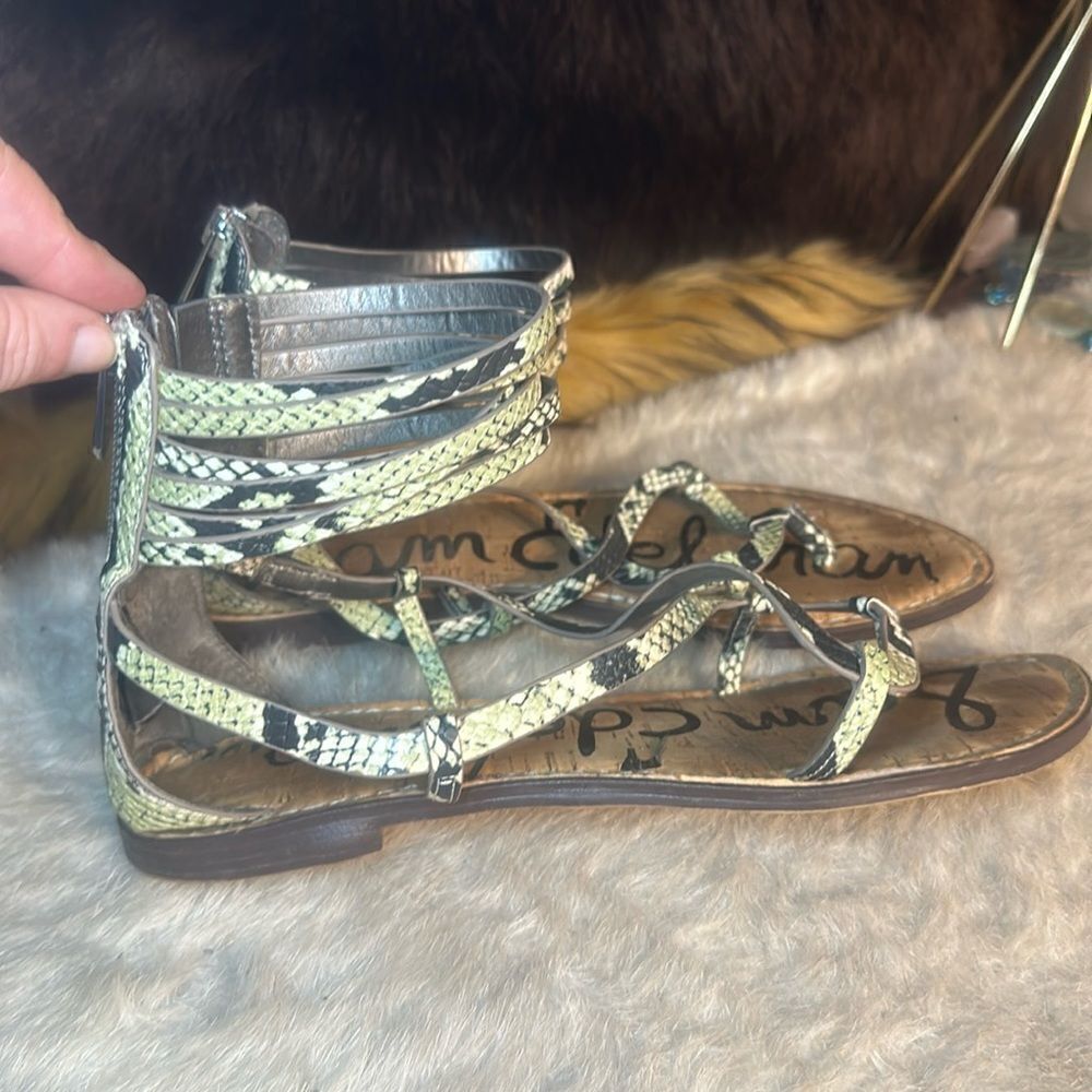 Sam Edelman shoes 8 (7001)